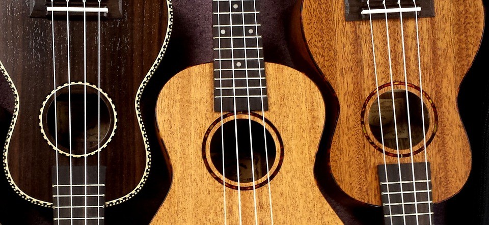 Different types of Ukeleles