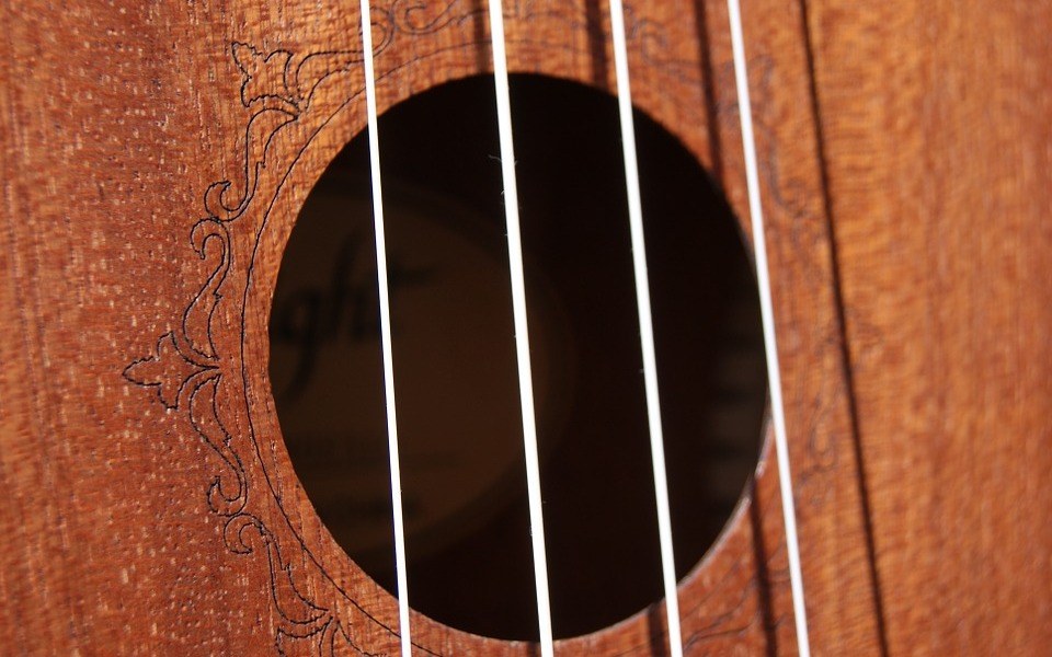 Best Tenor Ukulele Reviews – Top 5 in the Market for 2020