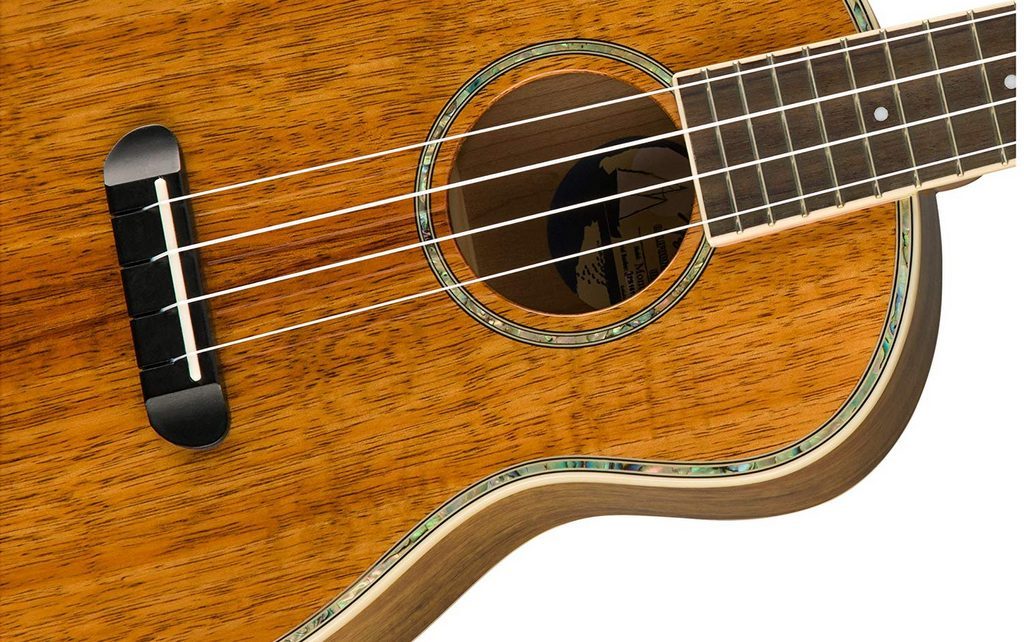 tenor ukulele reviews